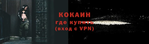 гидра Струнино