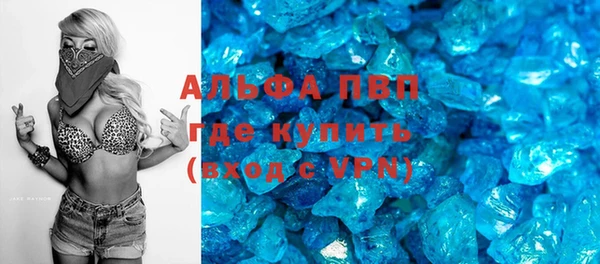 сатива Аркадак