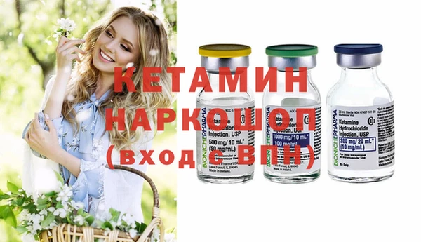 сатива Аркадак