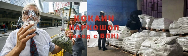 сатива Аркадак